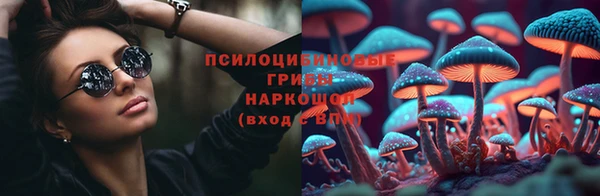 прущие крисы Инта