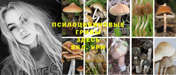 хмурый Балабаново