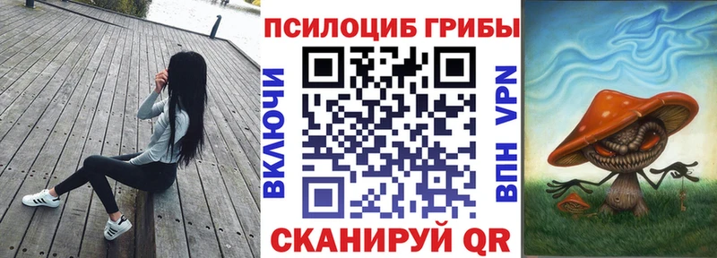 omg вход  Вольск  Псилоцибиновые грибы мицелий 